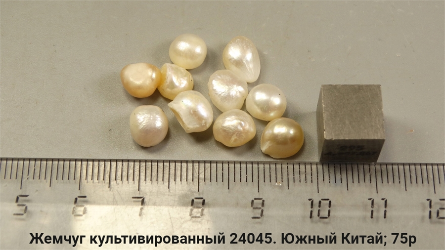 Жемчуг культивированный 24045 - фото 62154