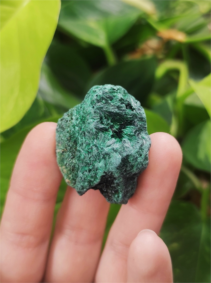 Малахит 22875 - фото 71899