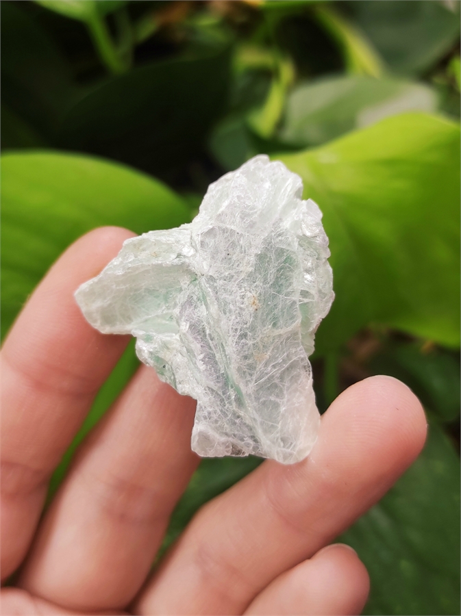 Тальк 21811 - фото 71903