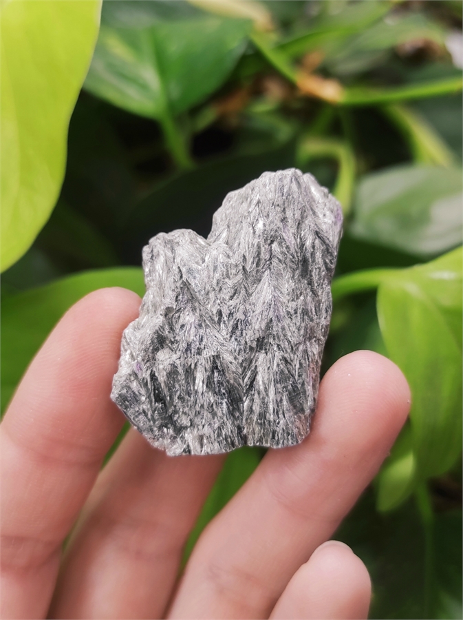 Клинохлор серафинит 23539 - фото 71907