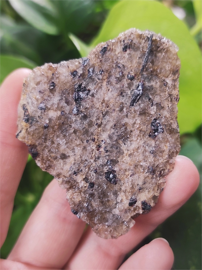 Рутил в кварце 24633 - фото 72252