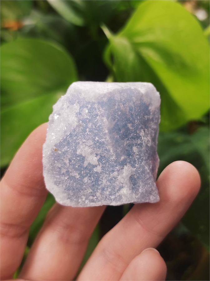 Ангелит (ангидрит) 23450 - фото 72255