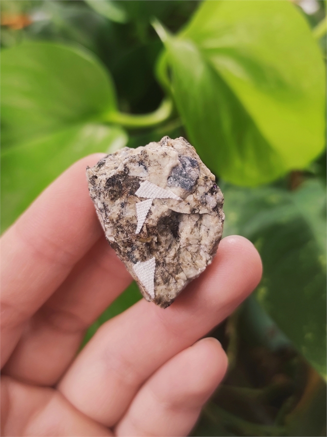 Корунд, фергусонит-Y и биотит в полевом шпате 22818 - фото 72256