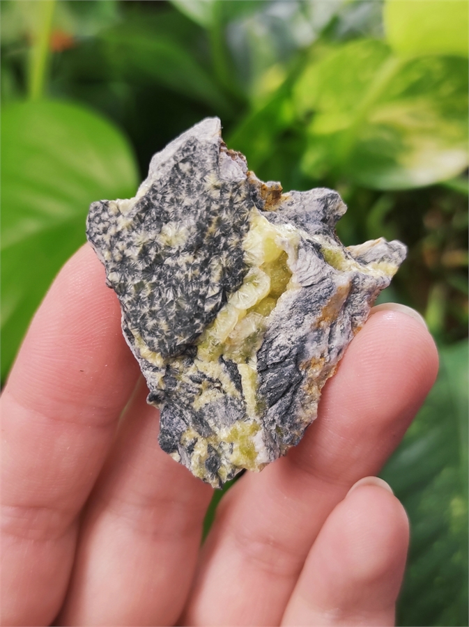 Вавеллит 25355