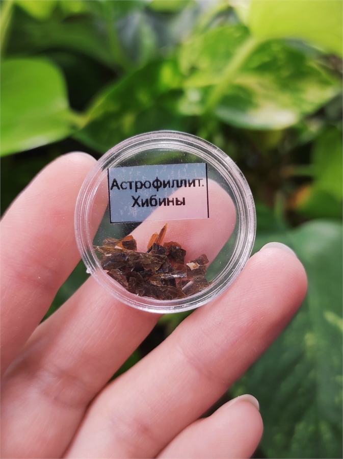 Астрофиллит 22965