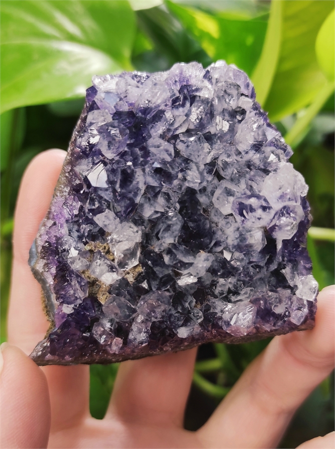 Аметист, друза 24806