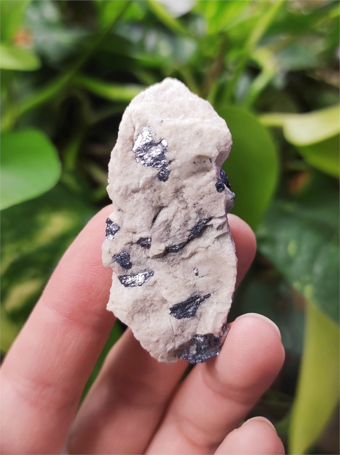 Молибденит 25260