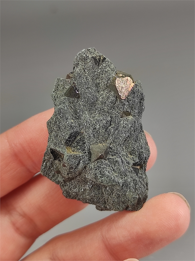 Магнетит в хлоритовом сланце 23270