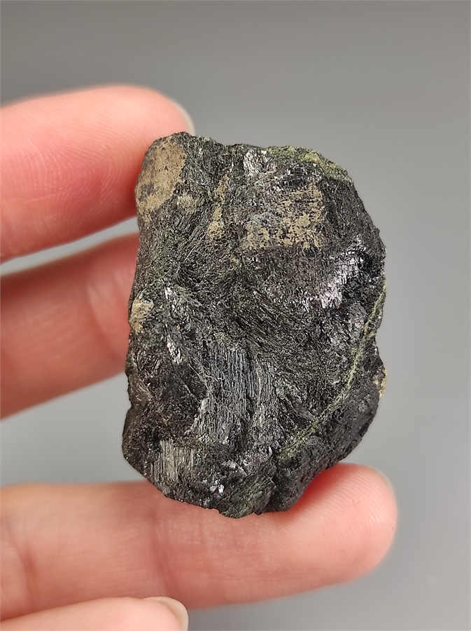 Роговая обманка 25391