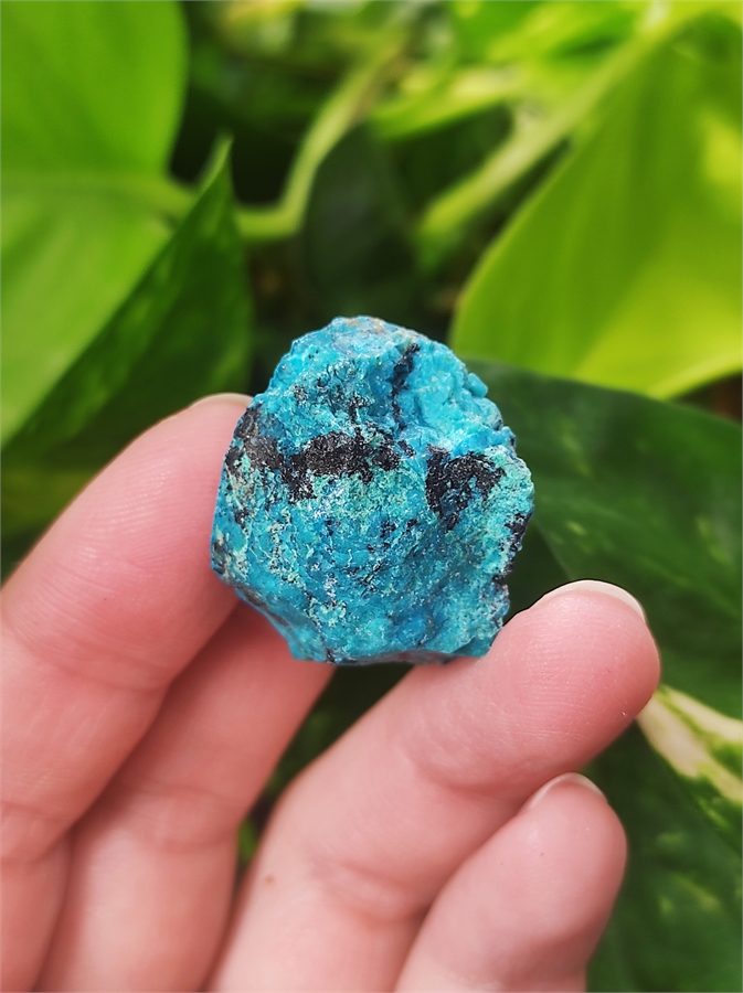 Хризоколла 24815