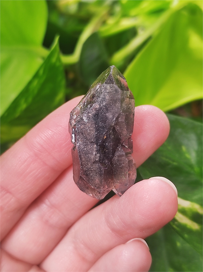 Кварц с битумом 25959