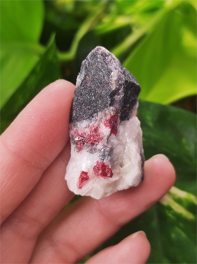 Киноварь в доломите 25999