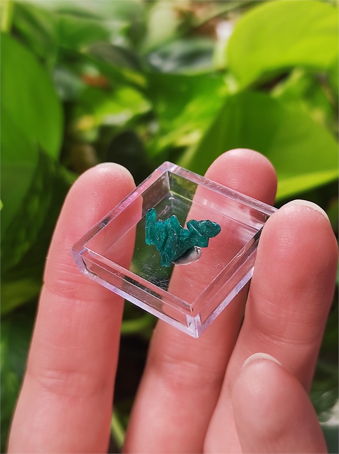 Диоптаз 25858