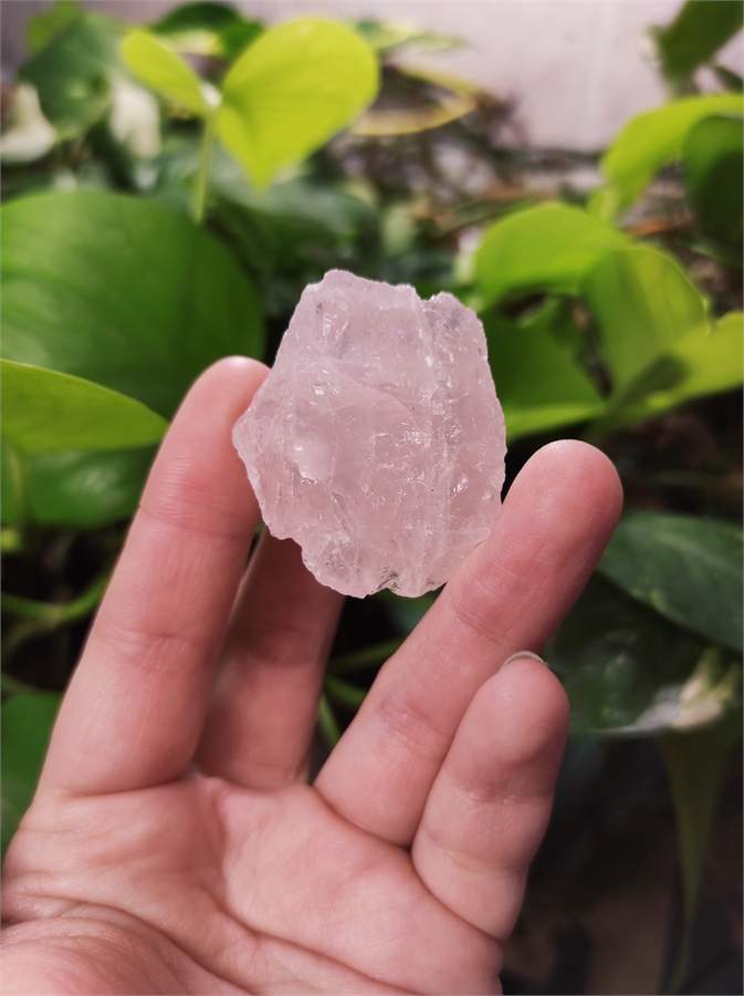 Розовый кварц 24546