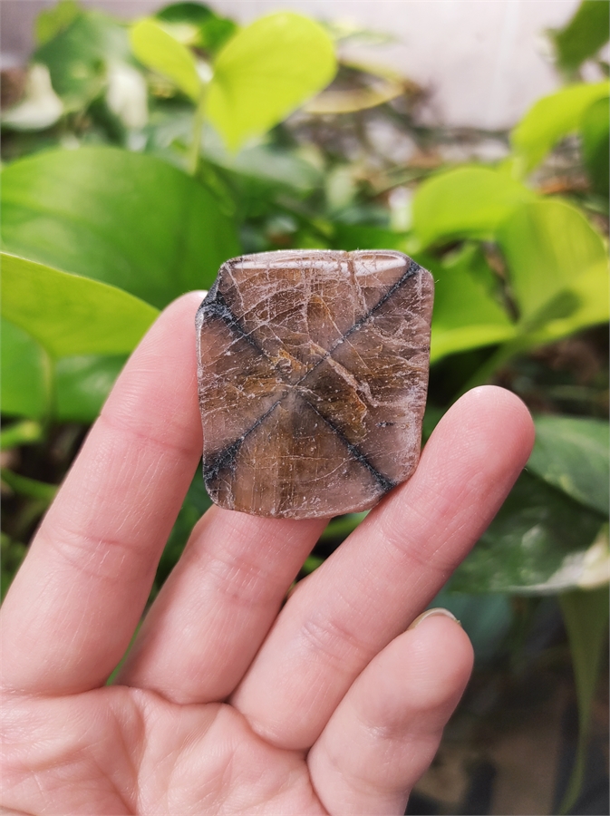 Хиастолит 24023