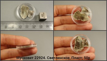 Мусковит 22924