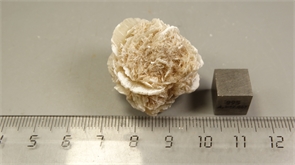 Гипс "роза пустыни" 24647