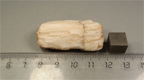 Гипс селенит 24715