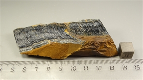 Соколиный глаз 24764