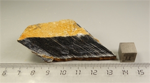 Соколиный глаз 24767