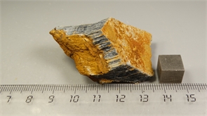 Соколиный глаз 24771