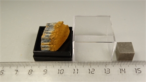 Соколиный глаз 24777