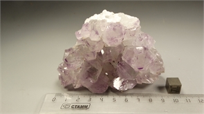 Аметист, друза 24808
