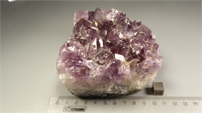 Аметист, друза 24809