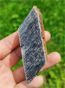 Соколиный глаз 24765