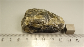 Лабрадор 24881