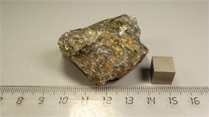 Лабрадор 24885