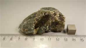 Лабрадор 24886