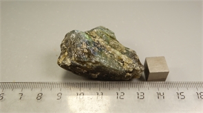 Лабрадор 24887