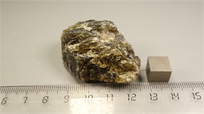 Лабрадор 24890