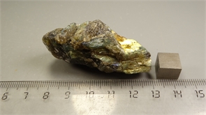 Лабрадор 24891