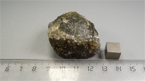 Лабрадор 24892