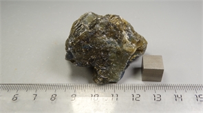 Лабрадор 24895