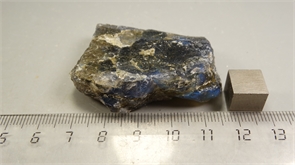 Лабрадор 24898