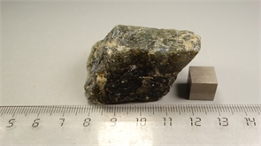 Лабрадор 24899