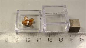 Желтый корунд сапфир 24909