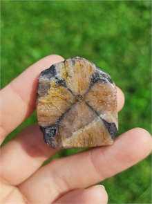 Хиастолит 24026