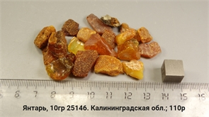 Янтарь 25146