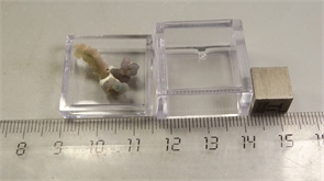 "Виноградный халцедон" 25166