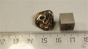 Ракушечник в халцедоне 25226