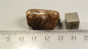 Ракушечник в халцедоне 25235