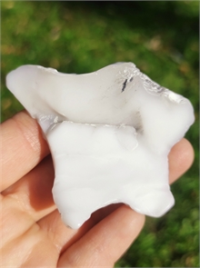 Кахолонг 24572