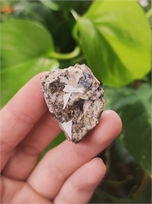 Корунд, фергусонит-Y и биотит в полевом шпате 22818