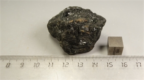 Роговая обманка 25331