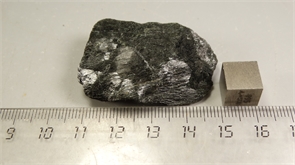 Роговая обманка 25332