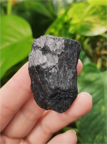 Роговая обманка 25332